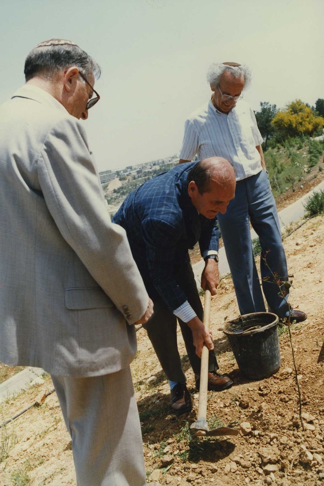 Cérémonie de la plantation d'un arbre en l'honneur de Madeleine Dietz