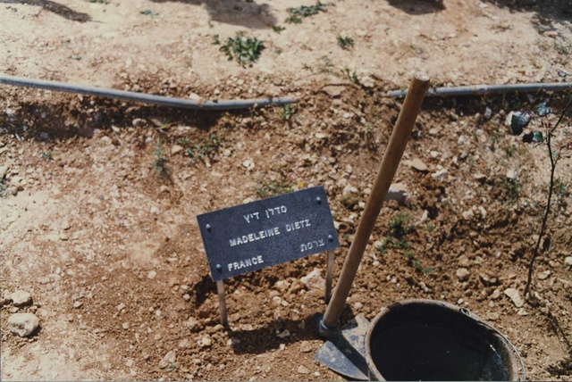 La plaque de l'arbre en l'honneur de Madeleine Dietz