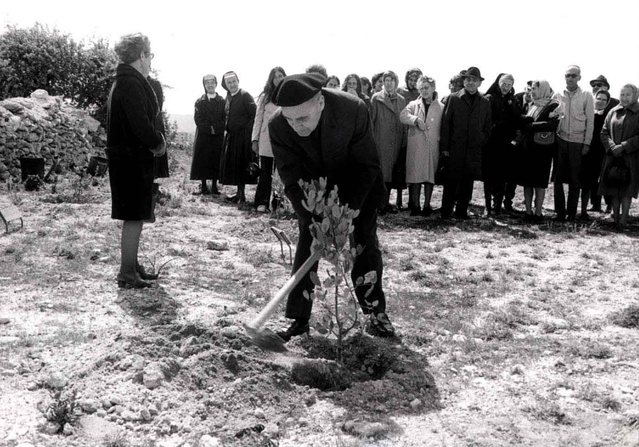 Le père Emile PLANCKAERT plante un arbre dans l'allée des Justes en 1973
