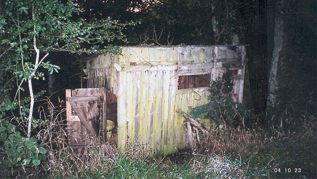 Cabane où Pauline et Jean Scolnic se cachaient dans la forêt.
