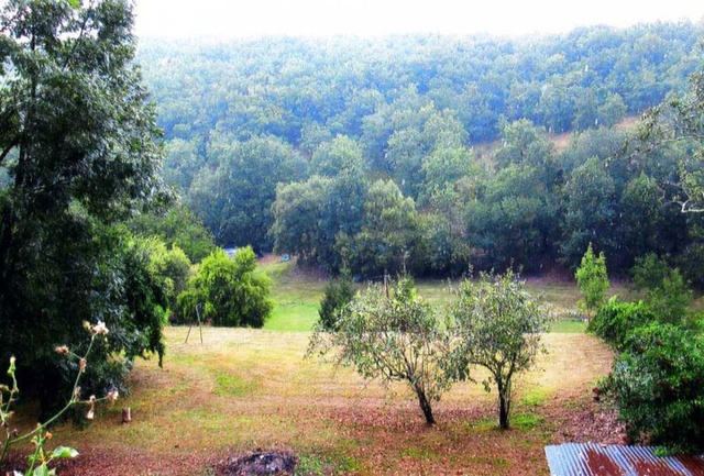 Lieu du sauvetage,  bois