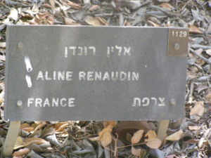 Plaque devant l'arbre