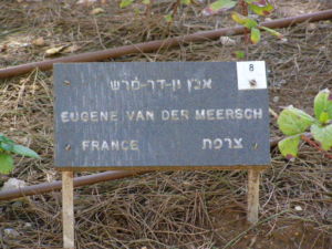Plaque devant l'arbre